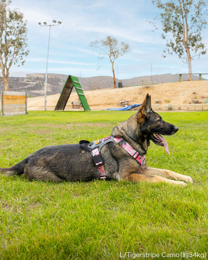 M1ハーネス（Lサイズ）