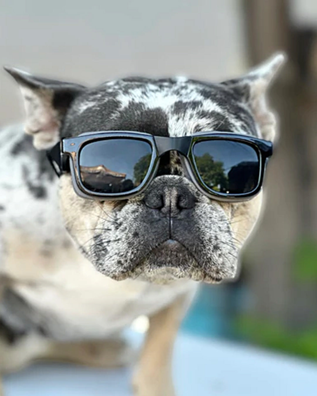 KILONINER ONLINE SHOP – KILONINER ONLINESHOP