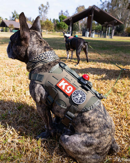K9 パッチ