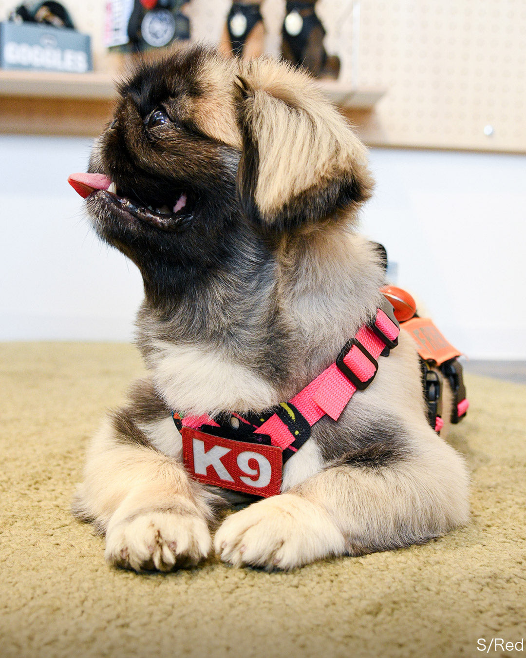 K9 パッチ