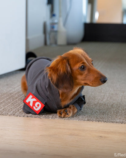 K9 パッチ