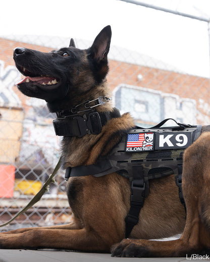 K9 パッチ