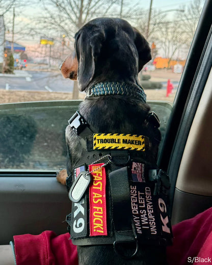 K9 パッチ