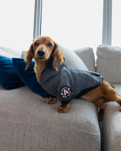 アスホールメリット パッチ
