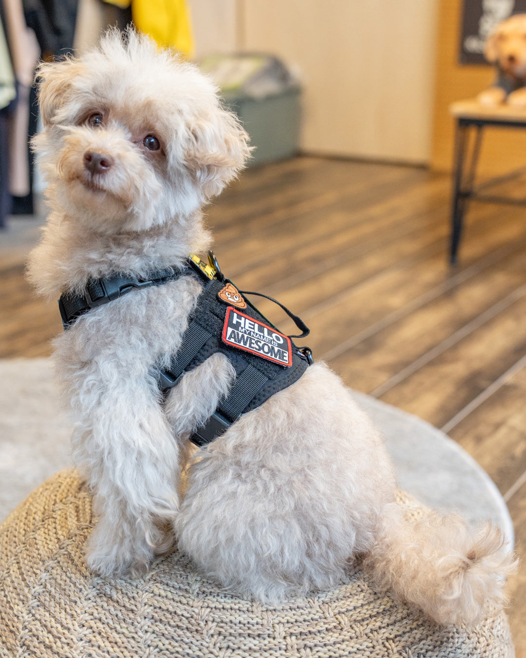 ハローオーサム パッチ