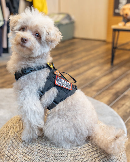 ハローオーサム パッチ