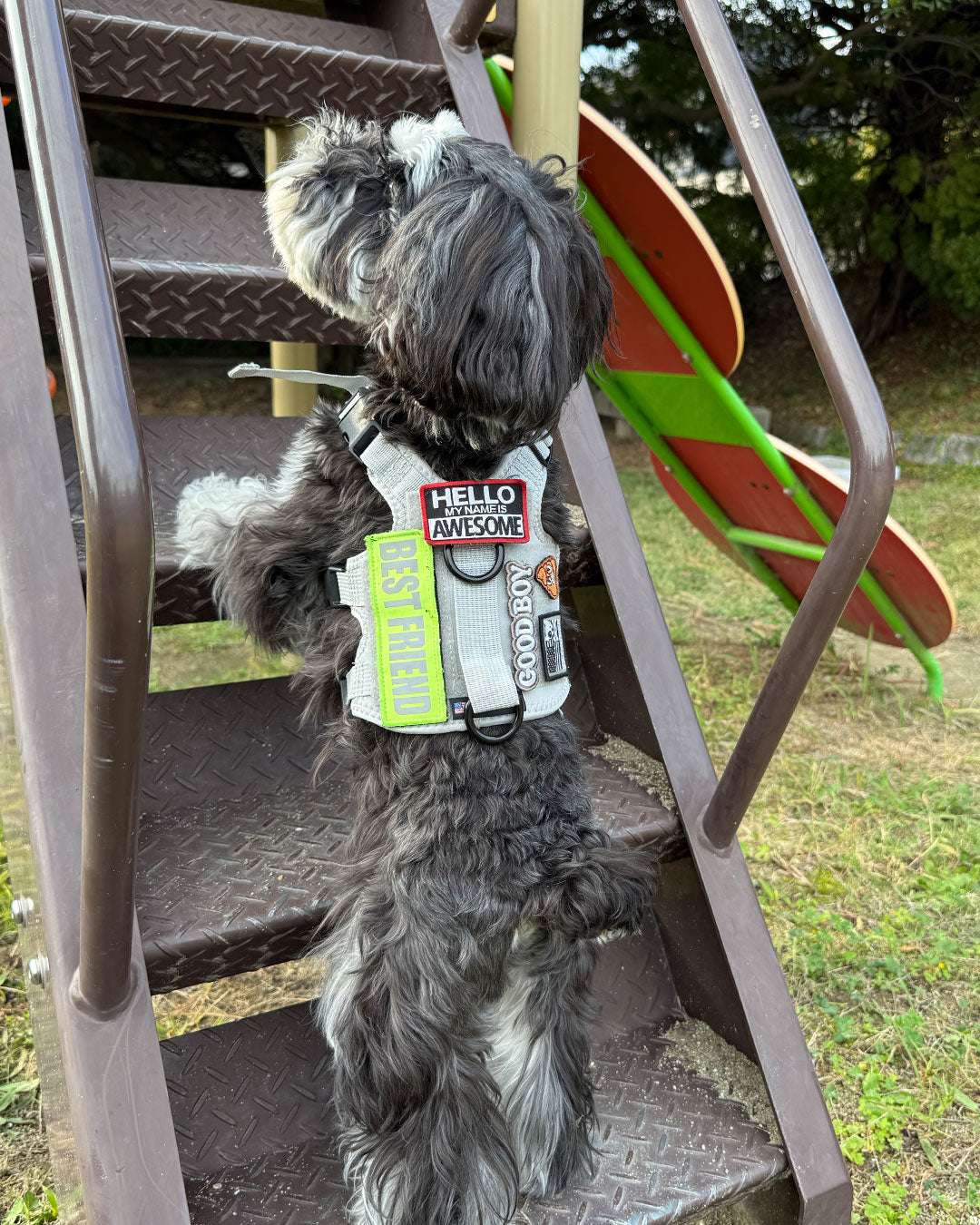 ハローオーサム パッチ