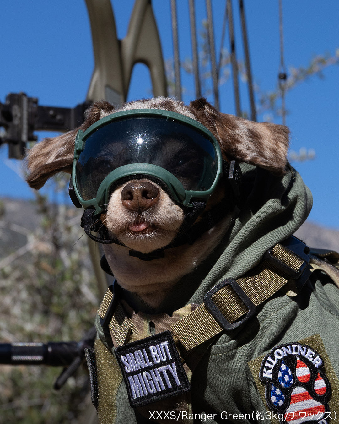 シグネチャーゴーグル