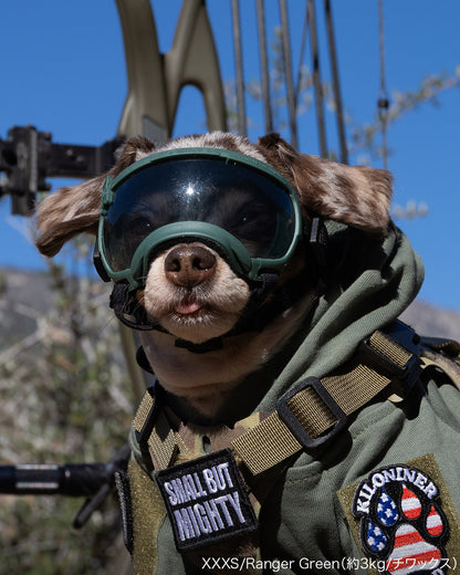 シグネチャーゴーグル