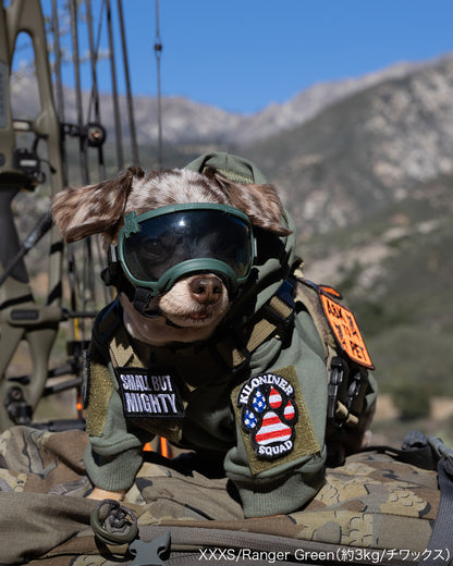 シグネチャーゴーグル