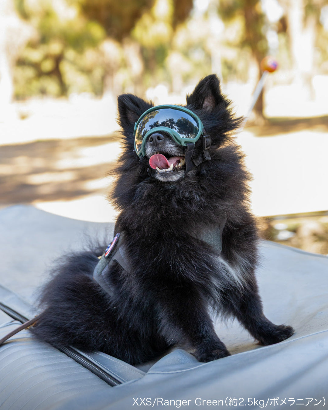 シグネチャーゴーグル