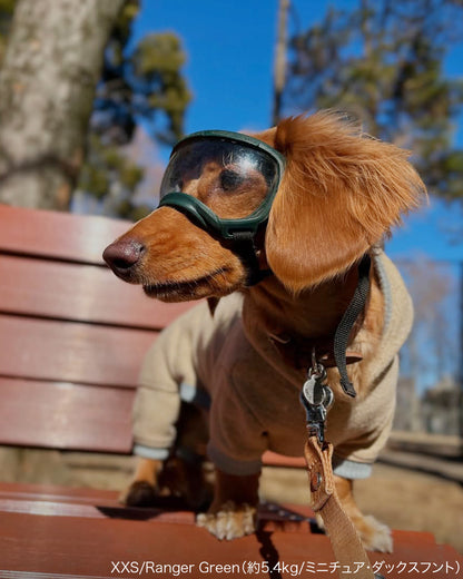 シグネチャーゴーグル