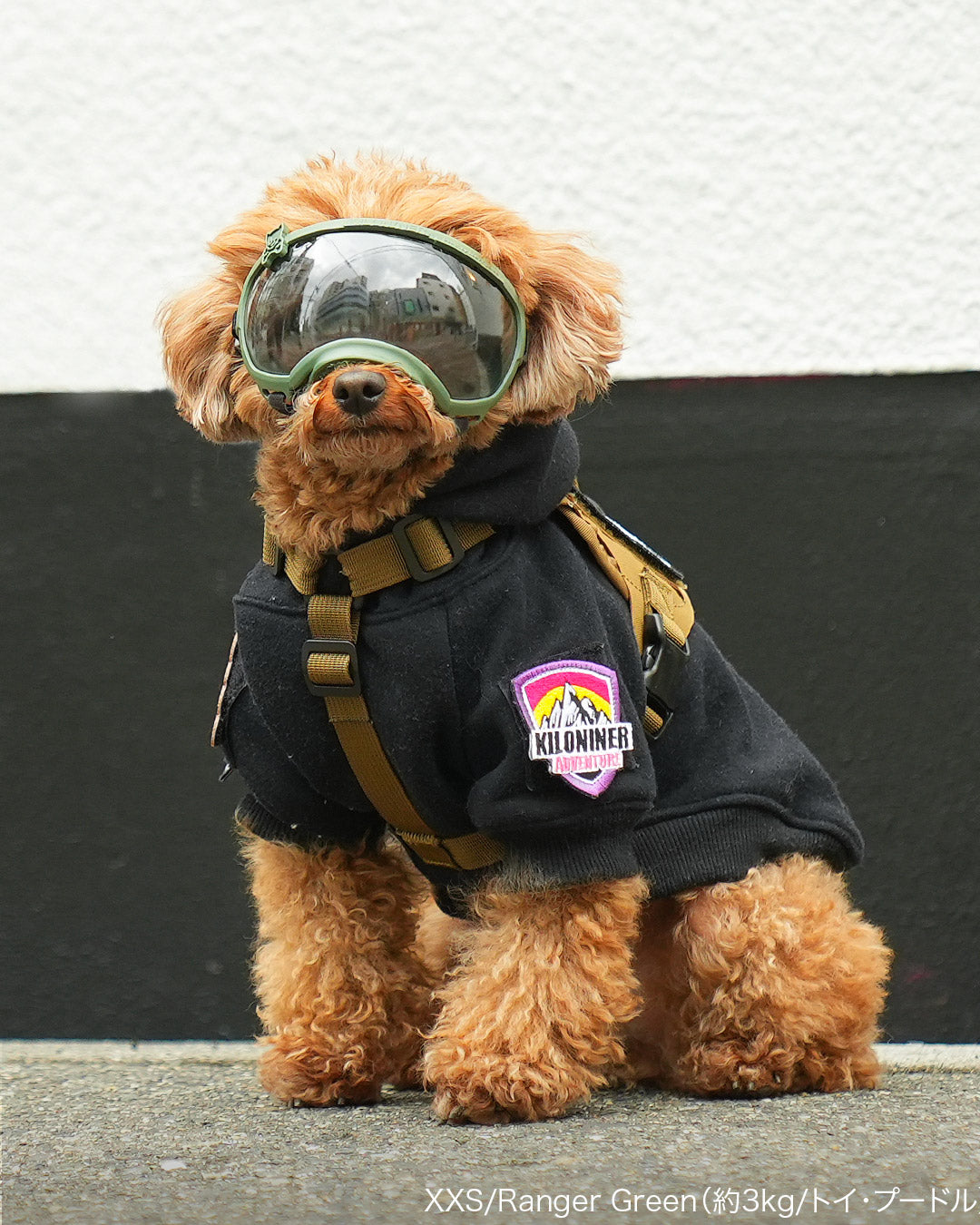 作家さん　犬 ぬいぐるみ ゴーグル シグネチャーゴーグル – KILONINER ONLINESHOP