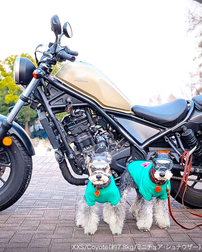 シグネチャーゴーグル