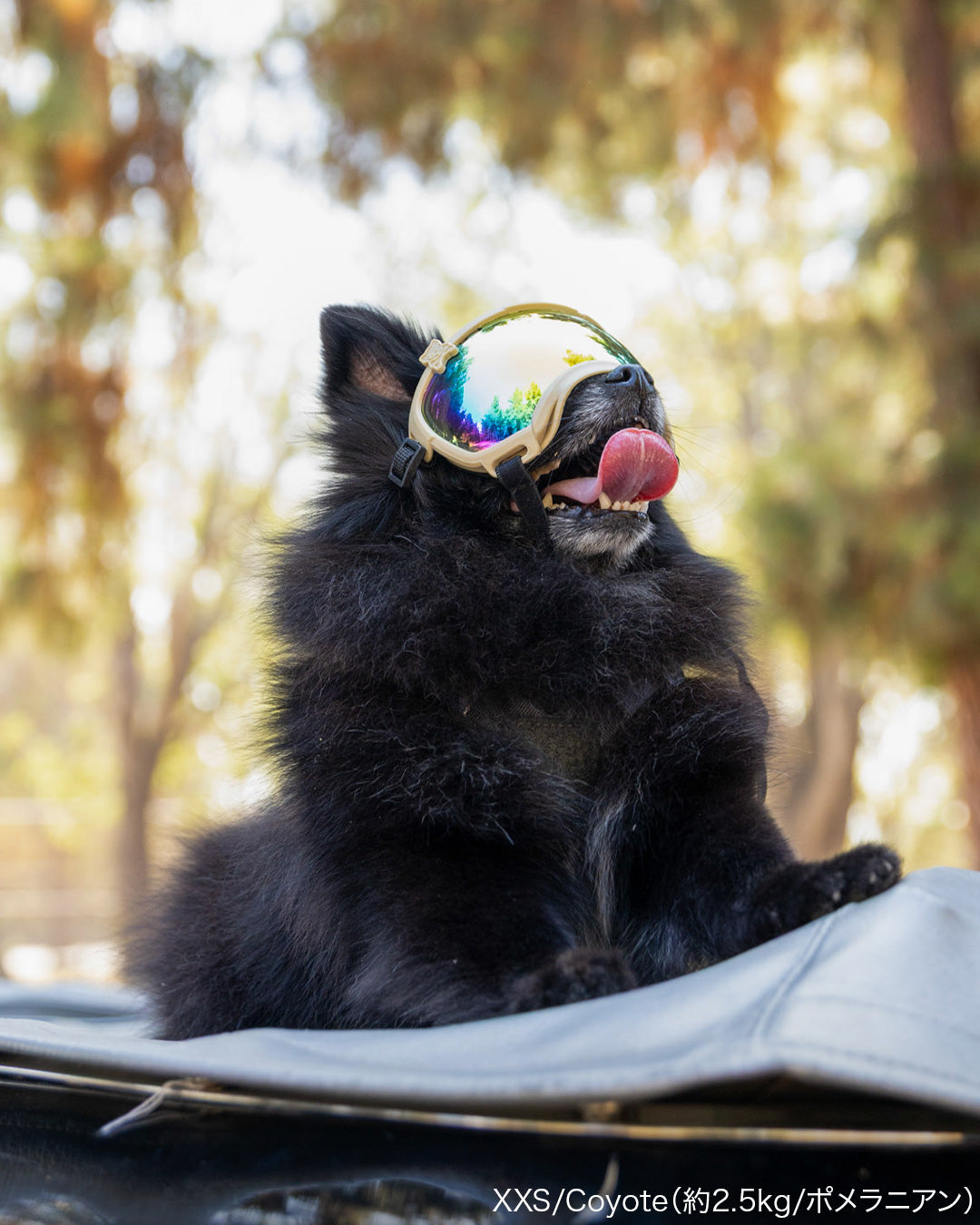 シグネチャーゴーグル