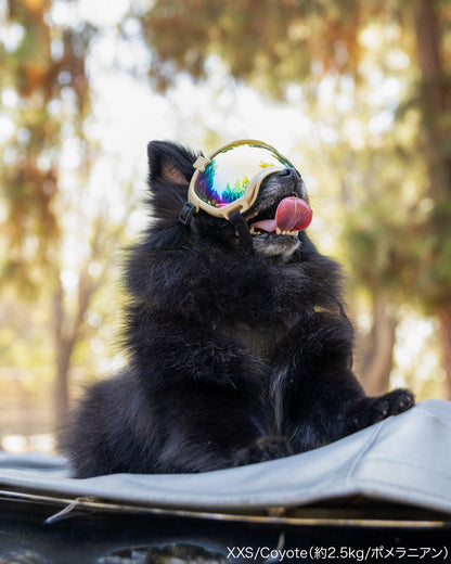 シグネチャーゴーグル