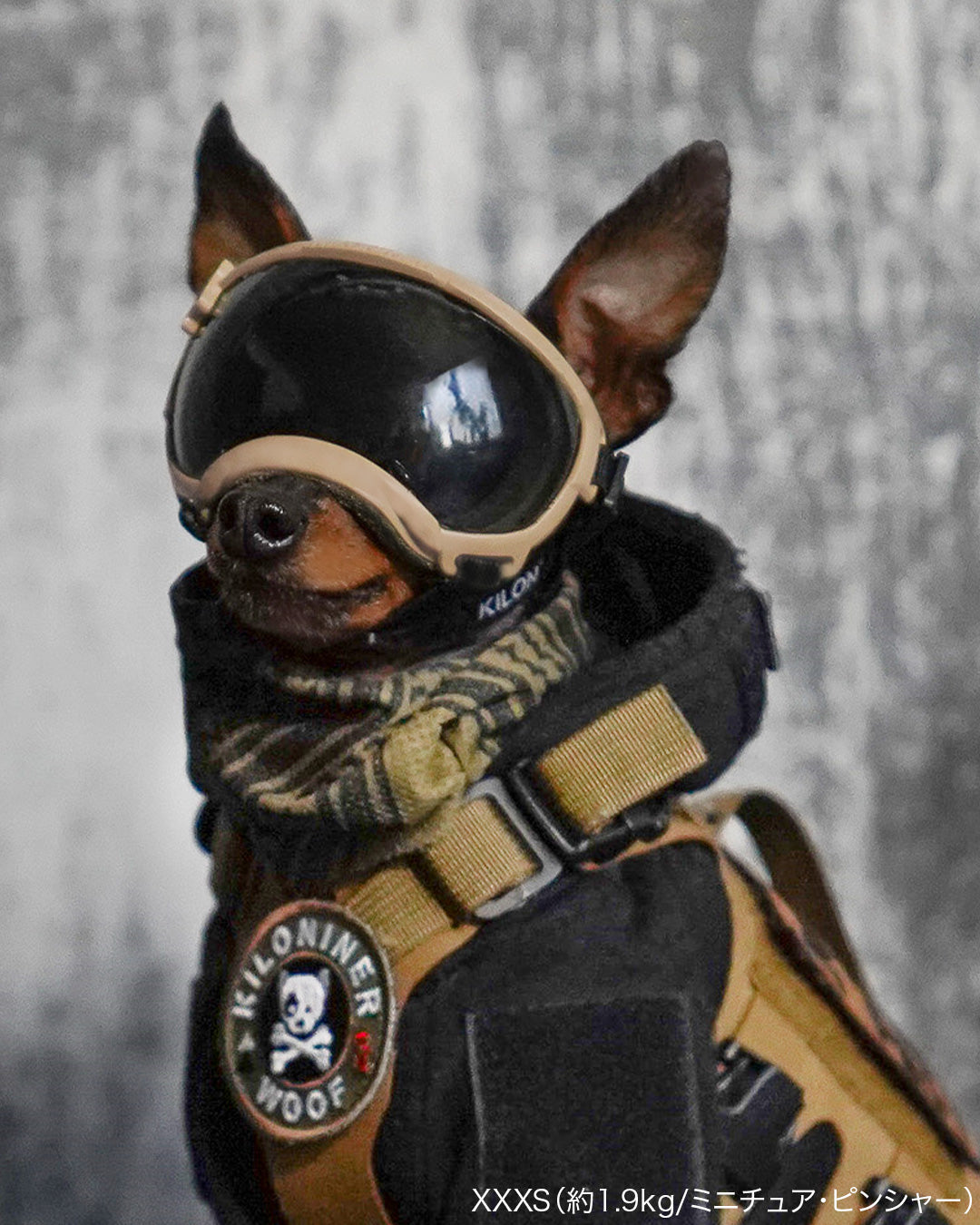 シグネチャーゴーグル