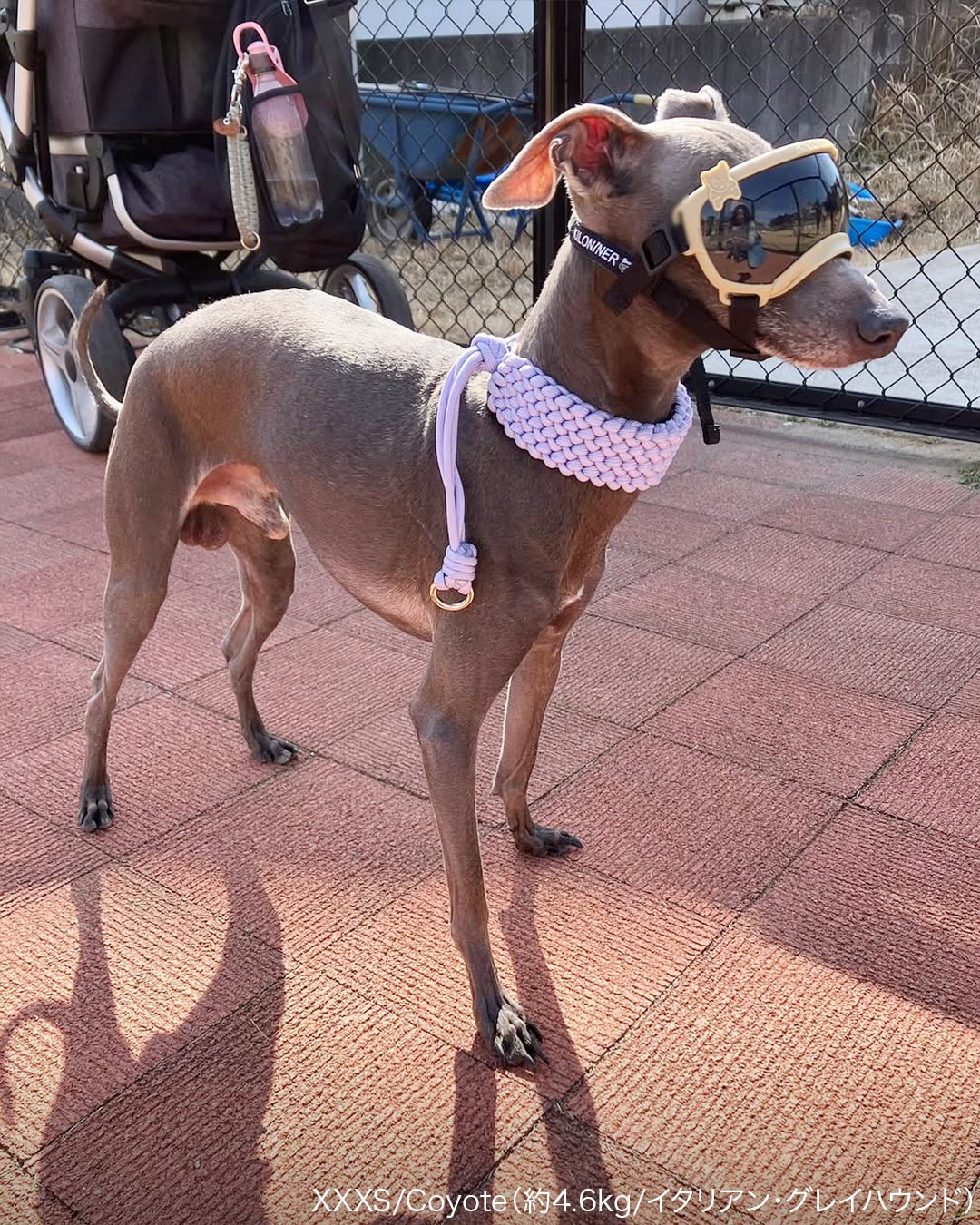 シグネチャーゴーグル – KILONINER ONLINESHOP