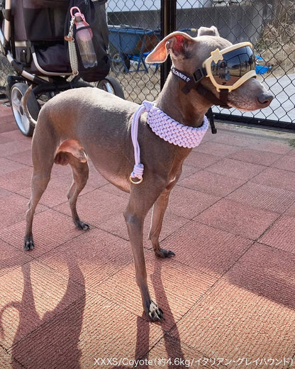 シグネチャーゴーグル