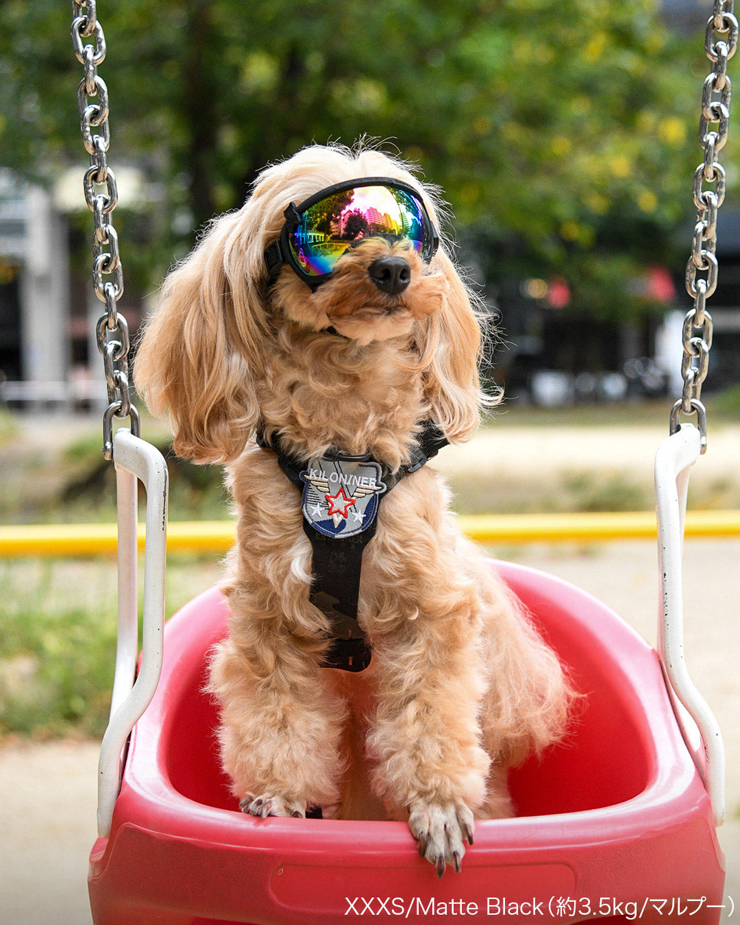 シグネチャーゴーグル