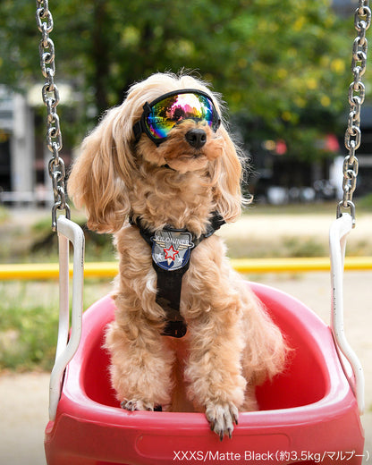 シグネチャーゴーグル