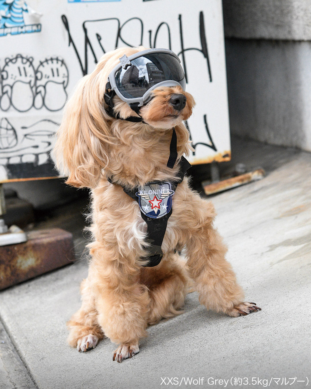 シグネチャーゴーグル