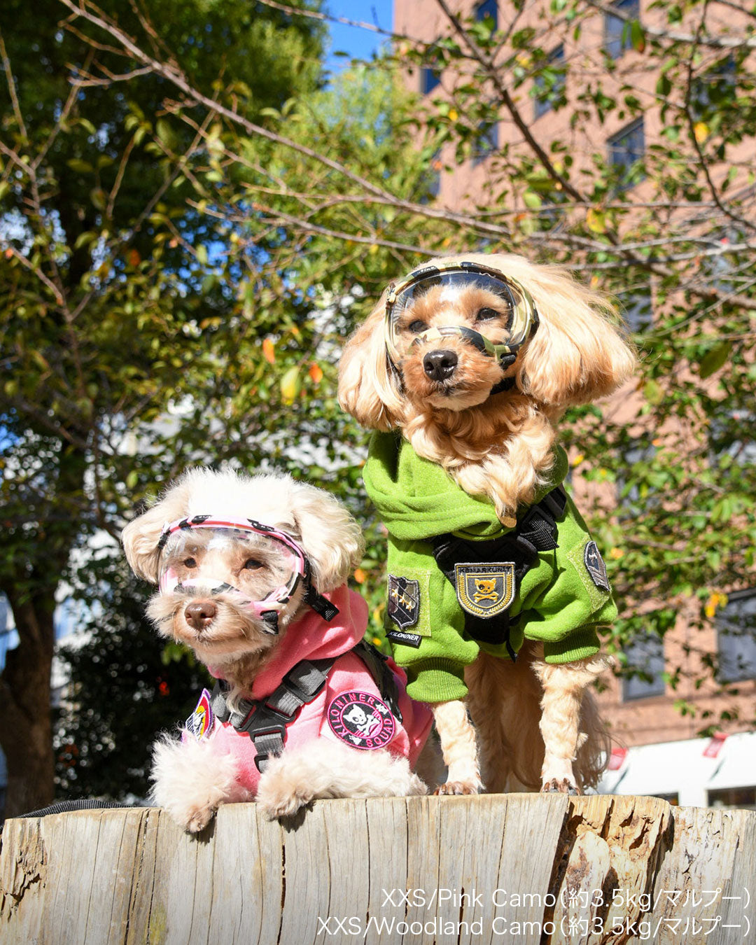 シグネチャーゴーグル