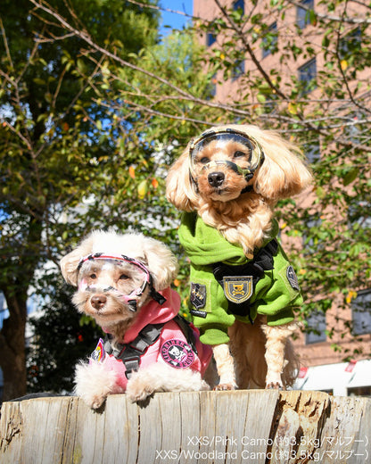 シグネチャーゴーグル