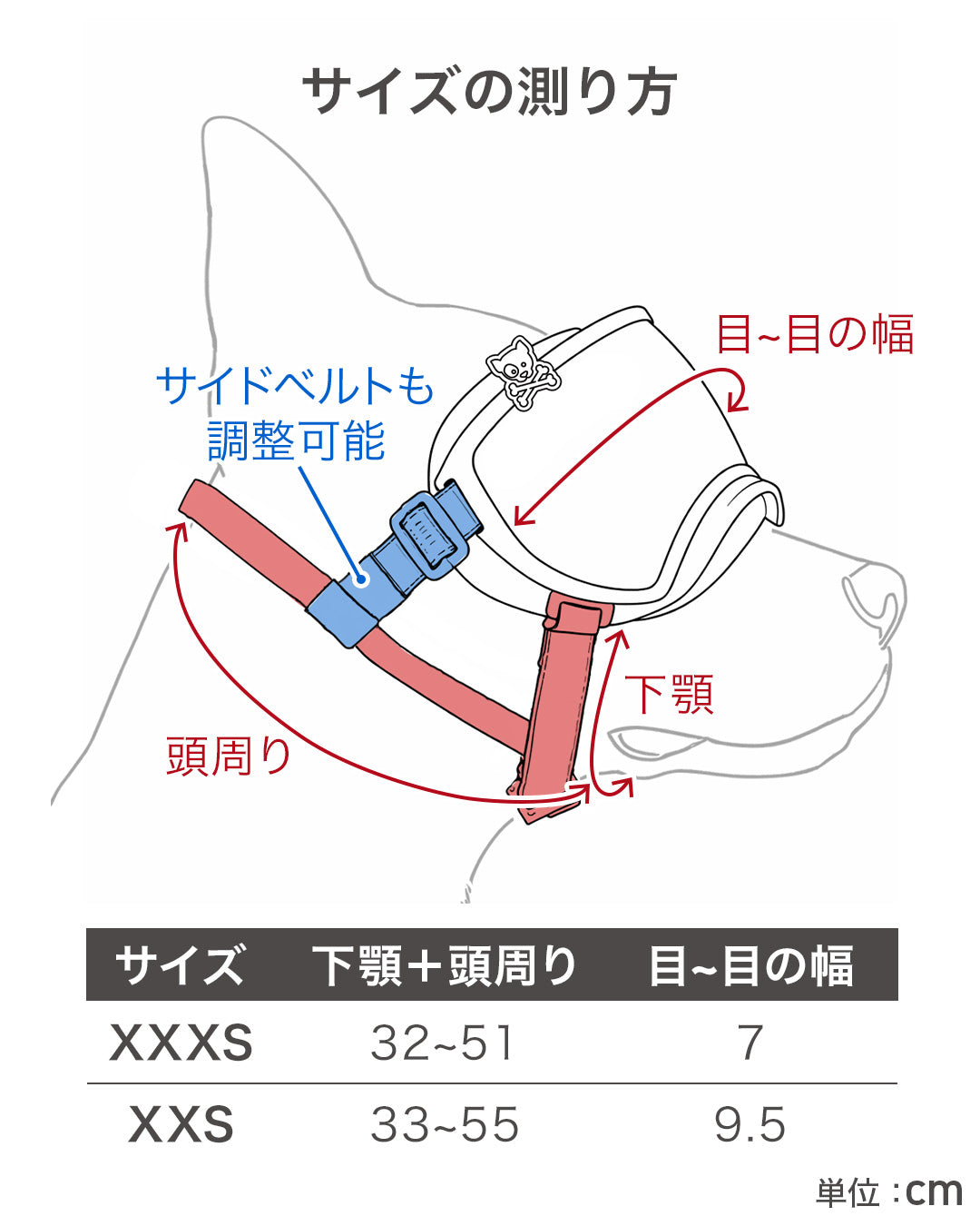シグネチャーゴーグル