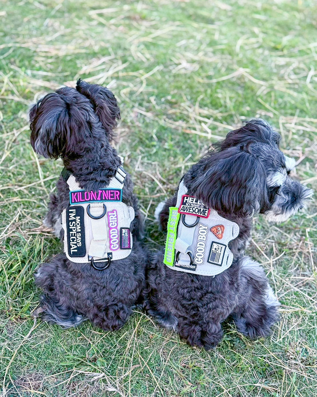 グッドボーイ パッチ