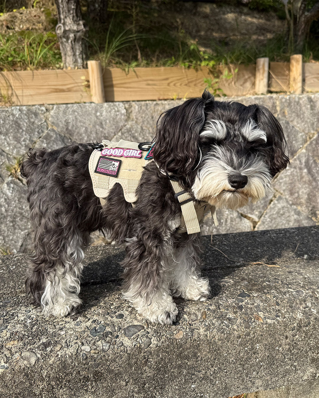 グッドガール パッチ