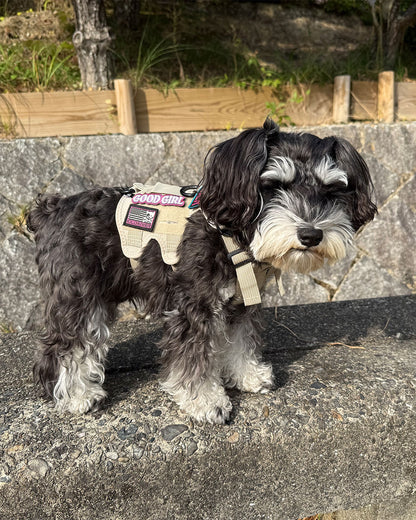 グッドガール パッチ