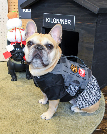 ダルマドッグ パッチ