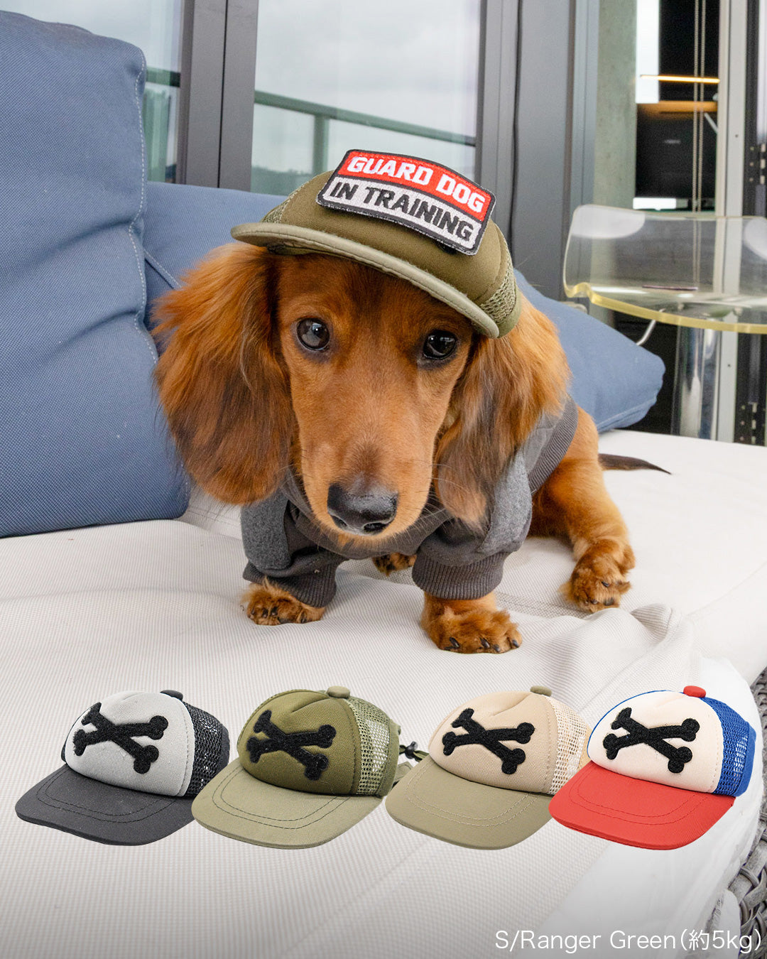 カスタムファンキャップ