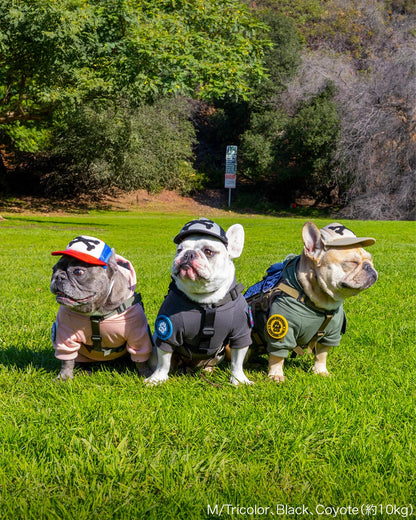 カスタムファンキャップ