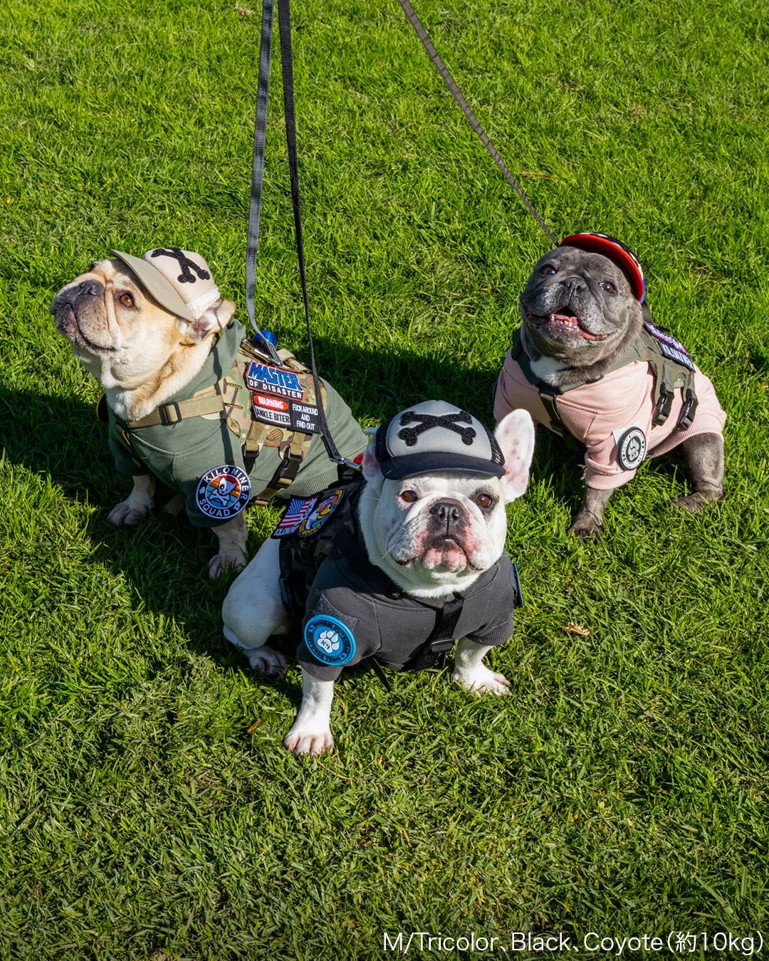 カスタムファンキャップ