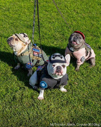 カスタムファンキャップ