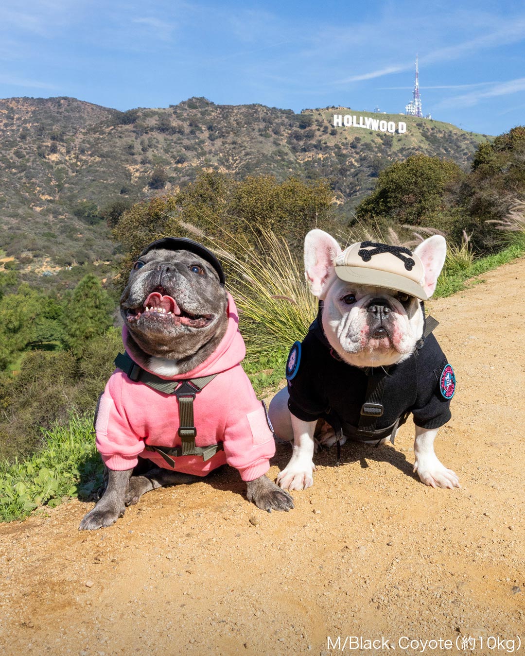 カスタムファンキャップ