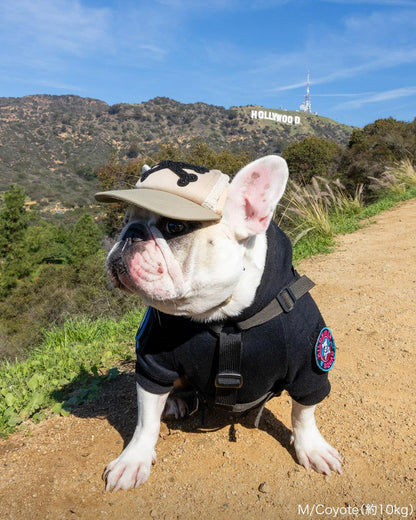 カスタムファンキャップ