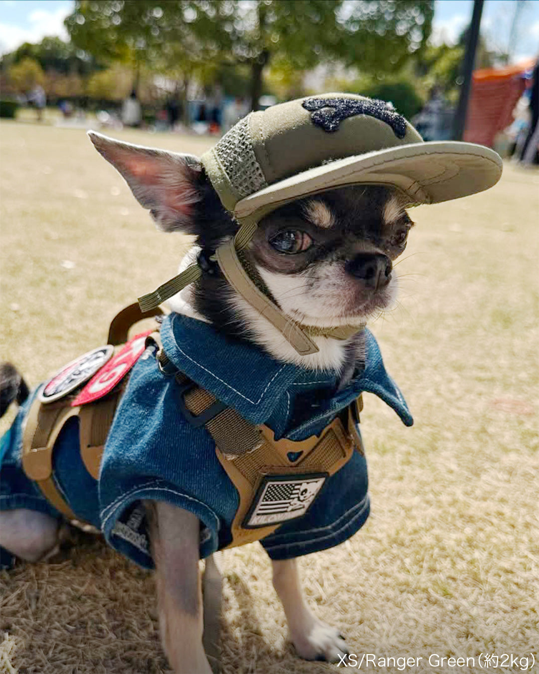 カスタムファンキャップ