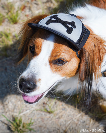 カスタムファンキャップ