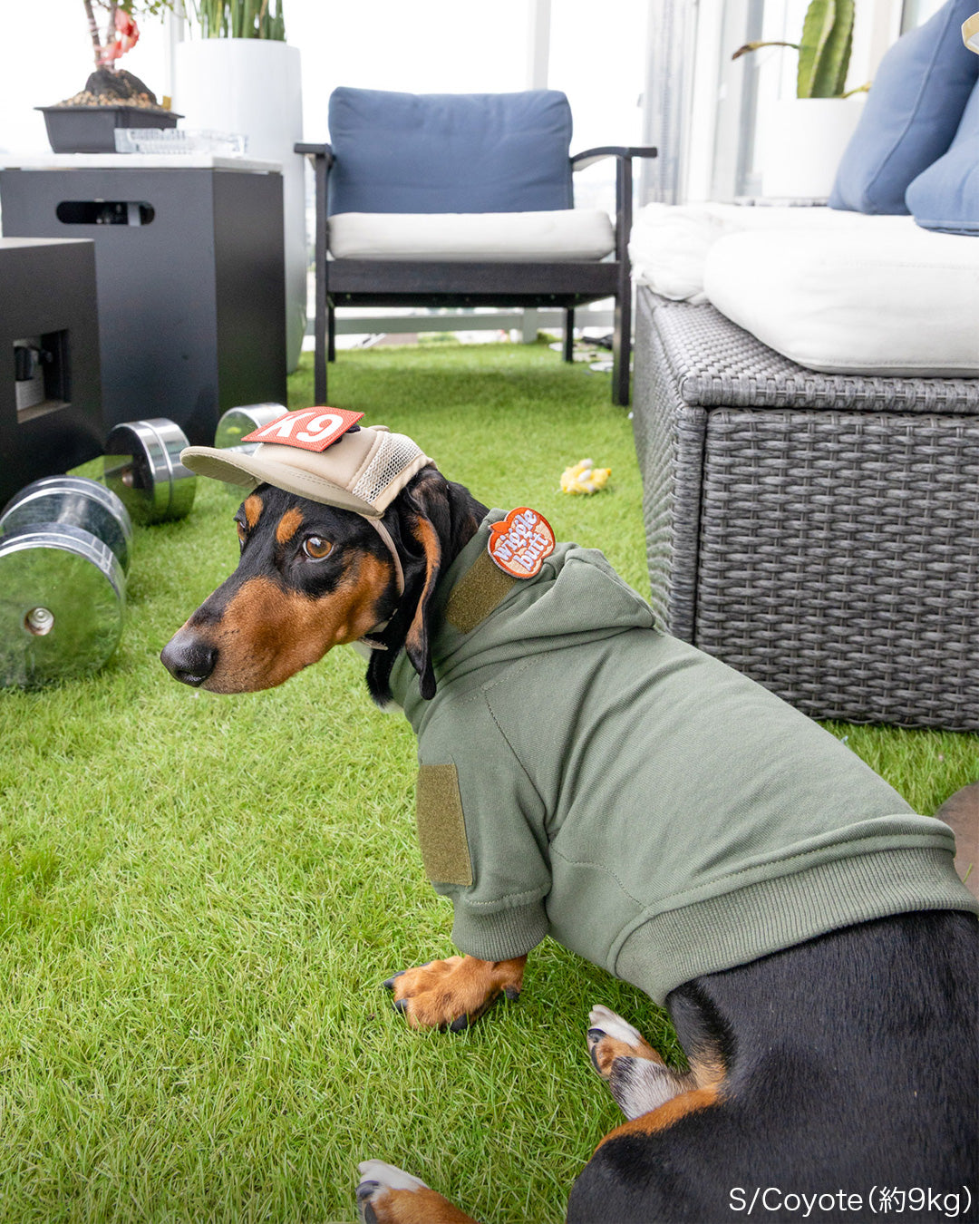 カスタムファンキャップ