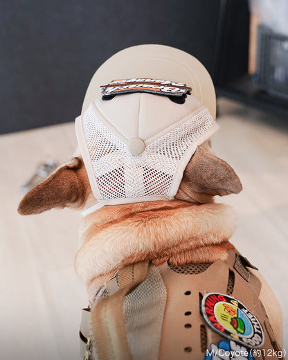 カスタムファンキャップ