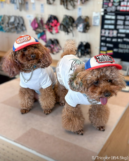 カスタムファンキャップ