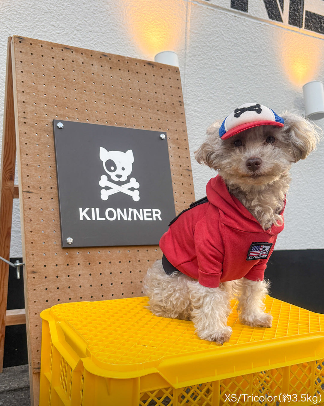 カスタムファンキャップ