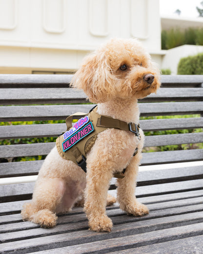 ステンシル パッチ