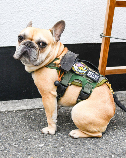Certified Silly Goose Morale Patch