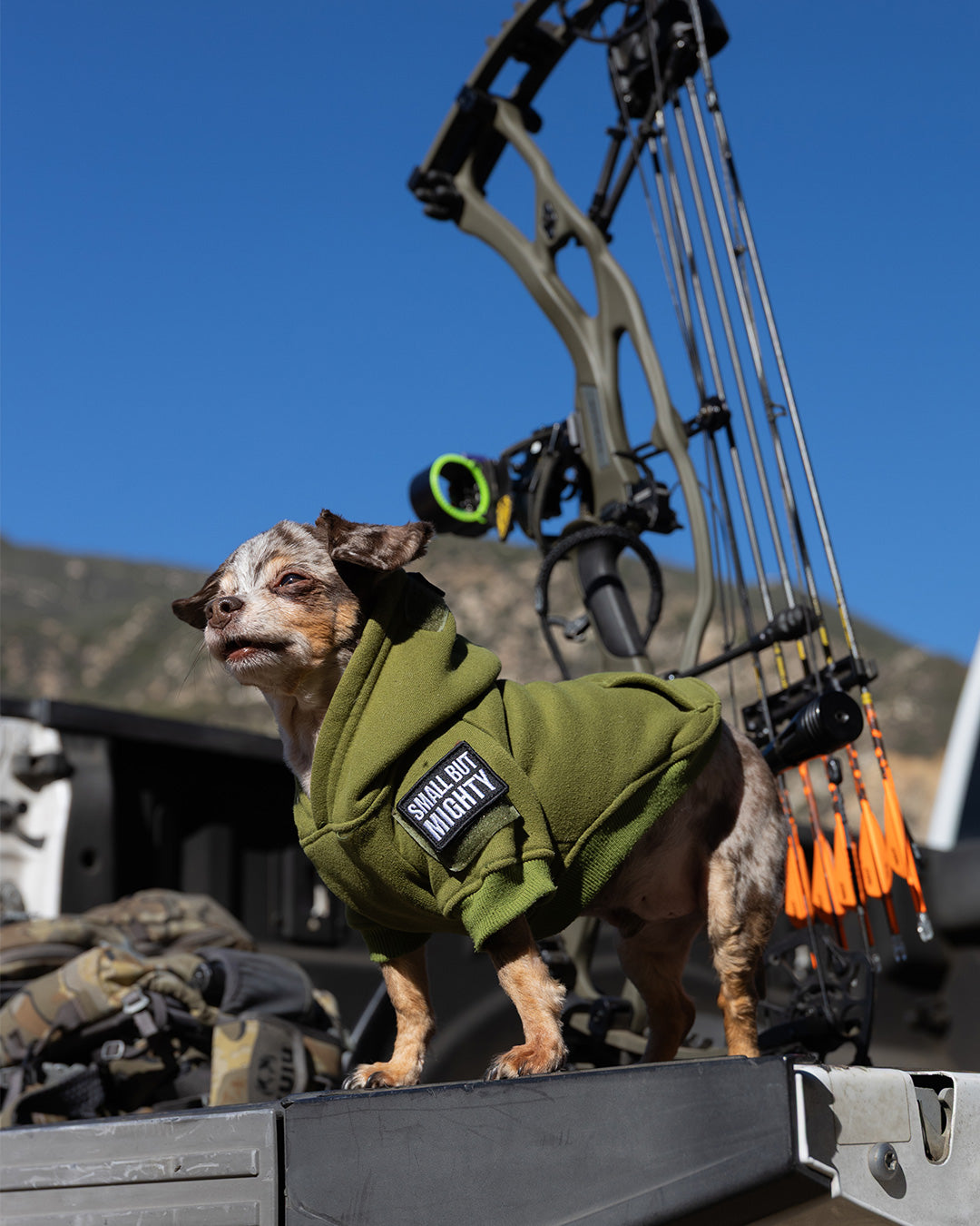 スモールバットマイティ パッチ