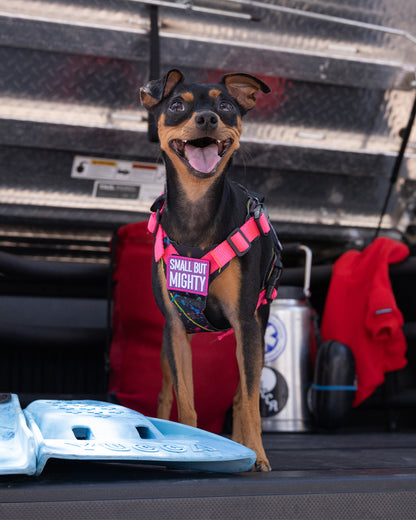 スモールバットマイティ パッチ