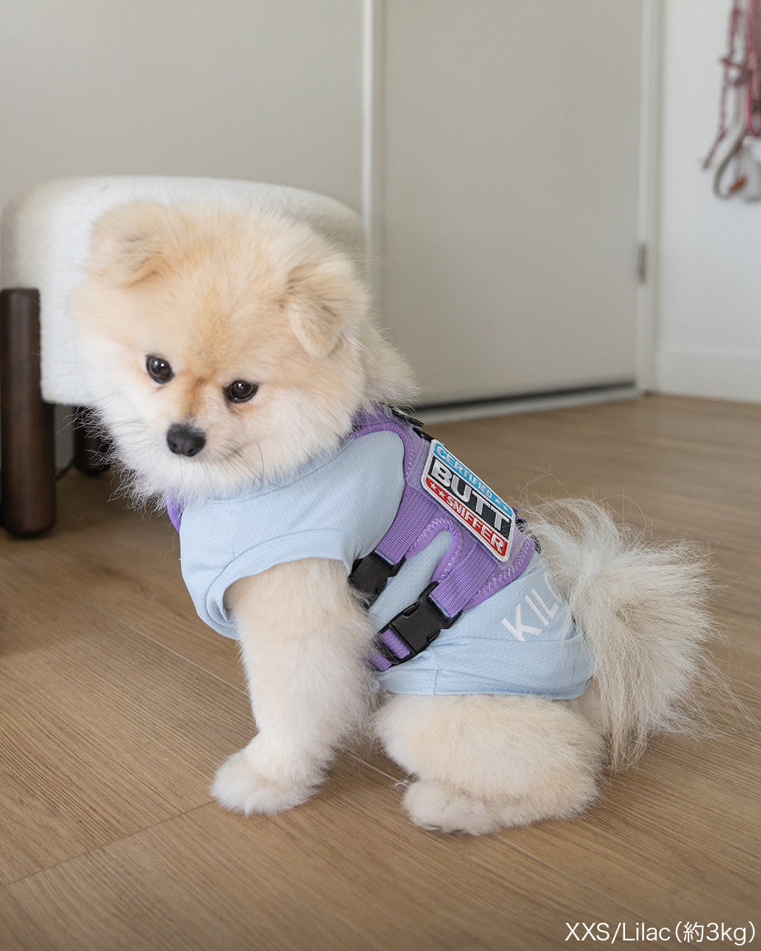Harness – KILONINER ONLINESHOP